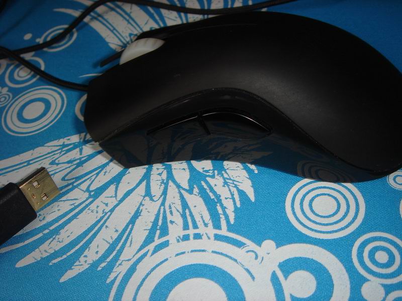 8.JPG