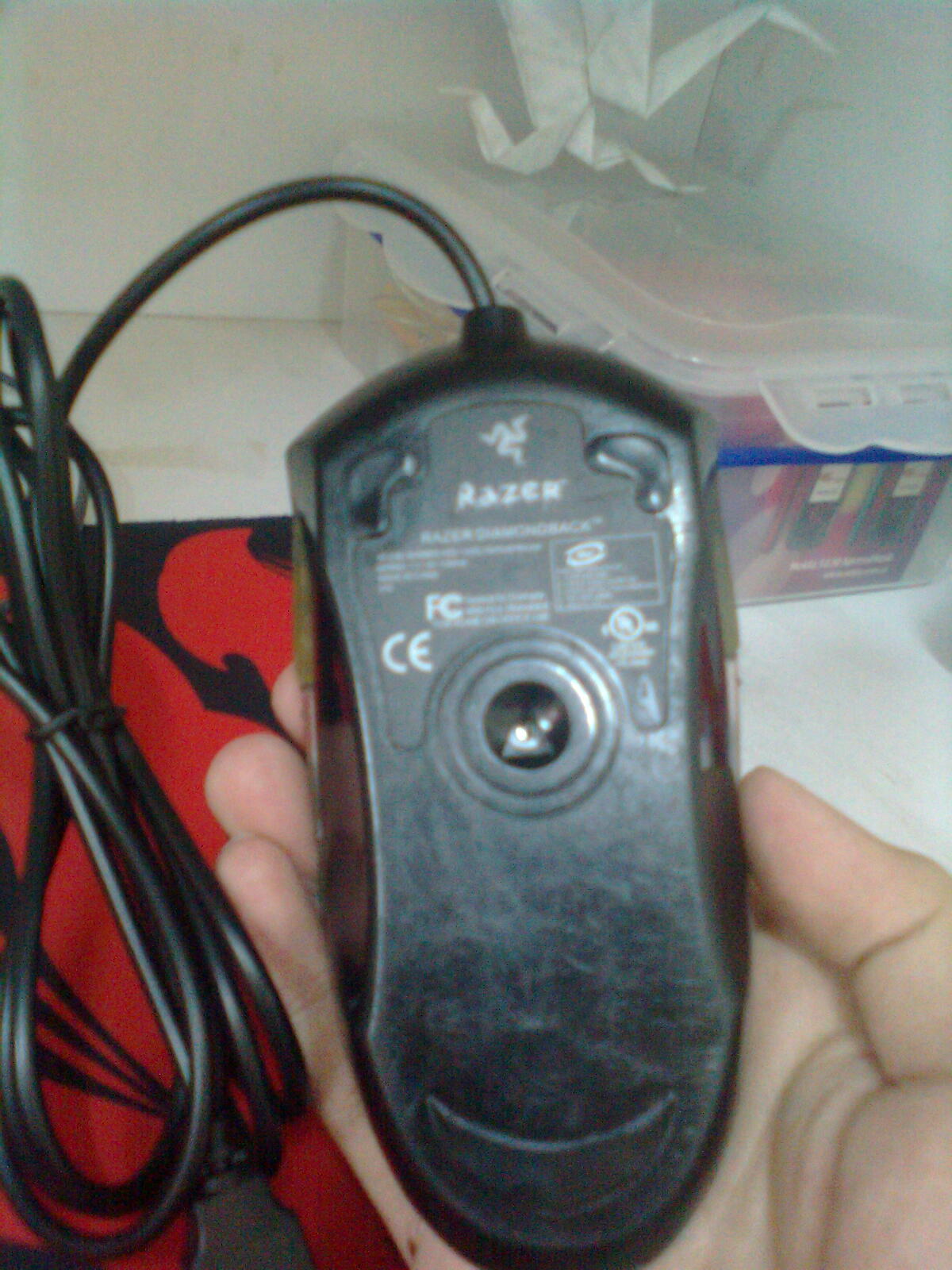 ��������ylj��β��ɫ���������С�