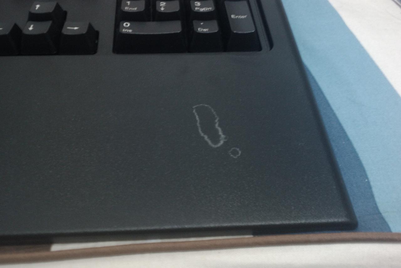 IMAG0384.jpg