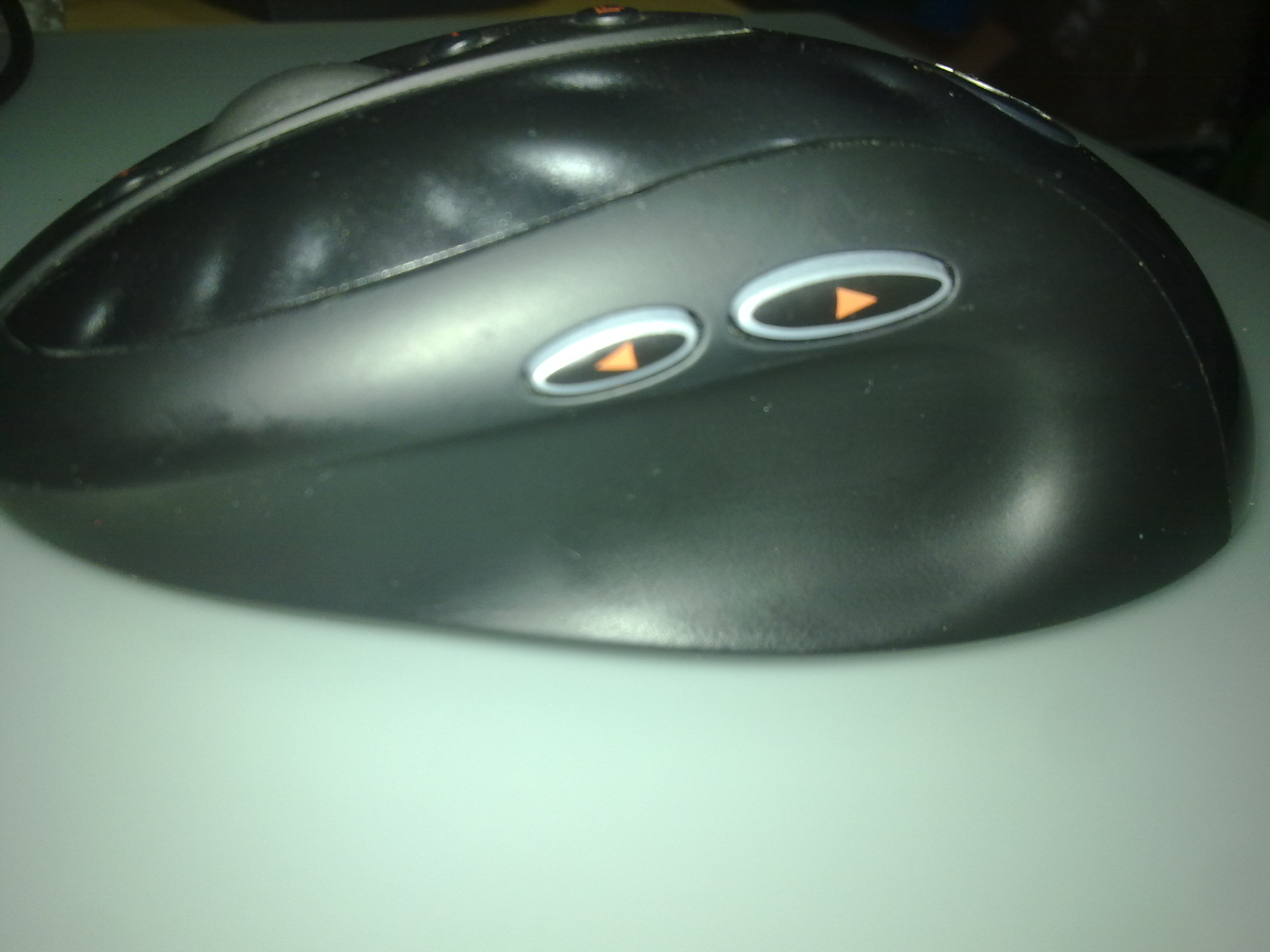 20110514569.jpg