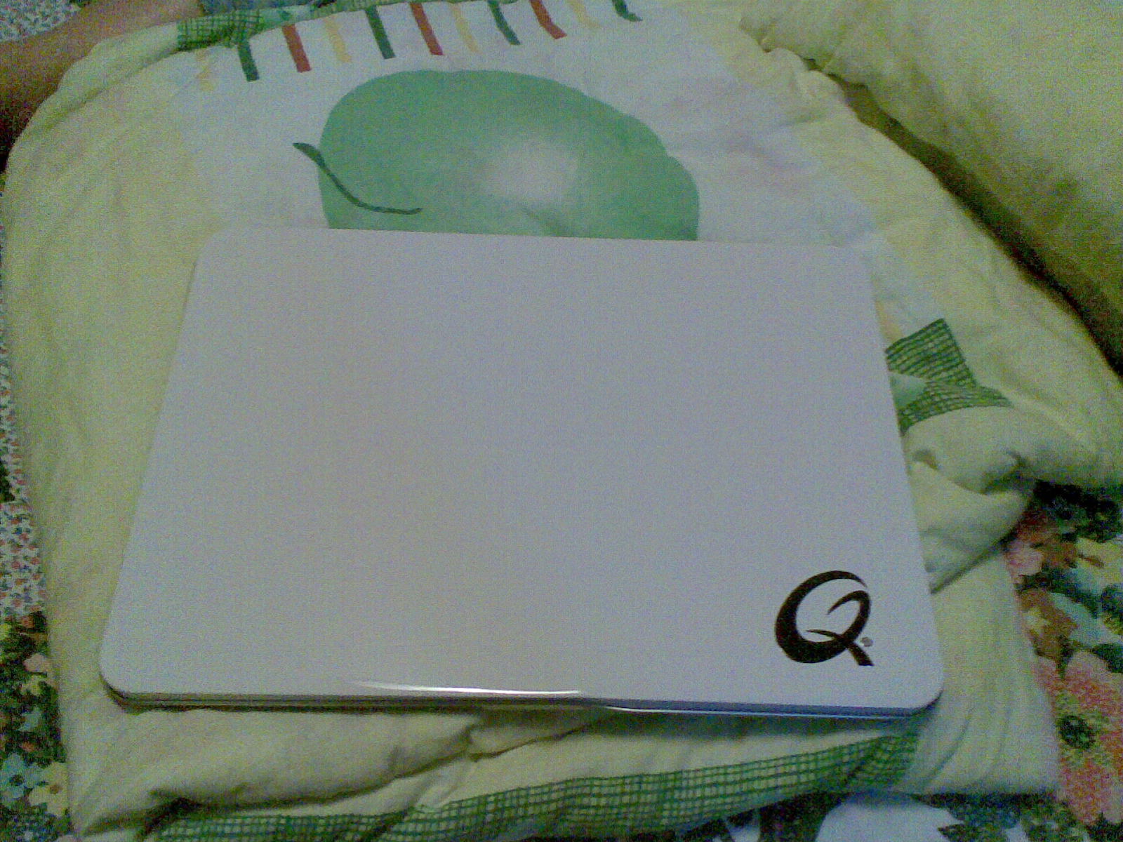 20110516.jpg