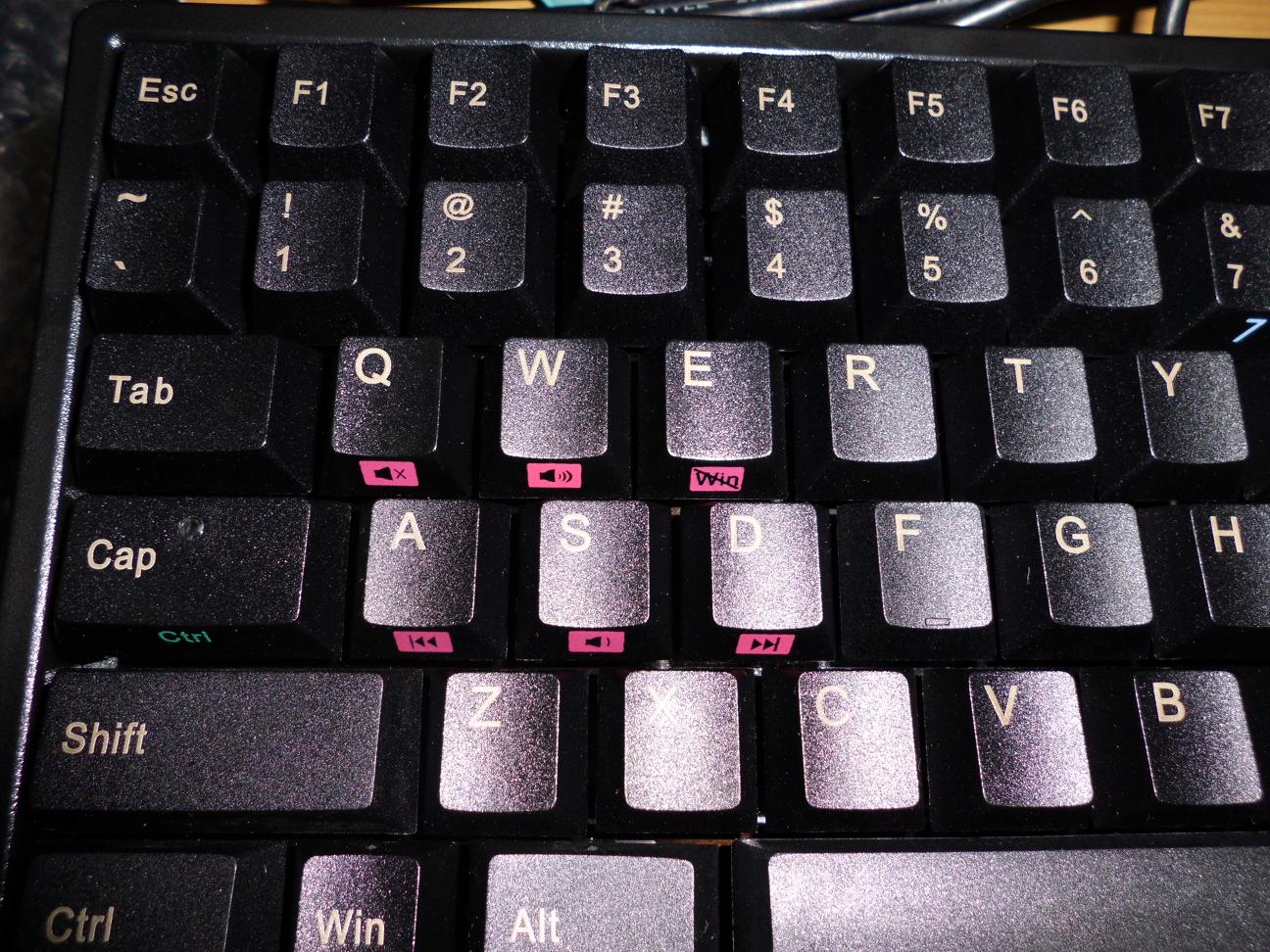 CIMG0003.JPG