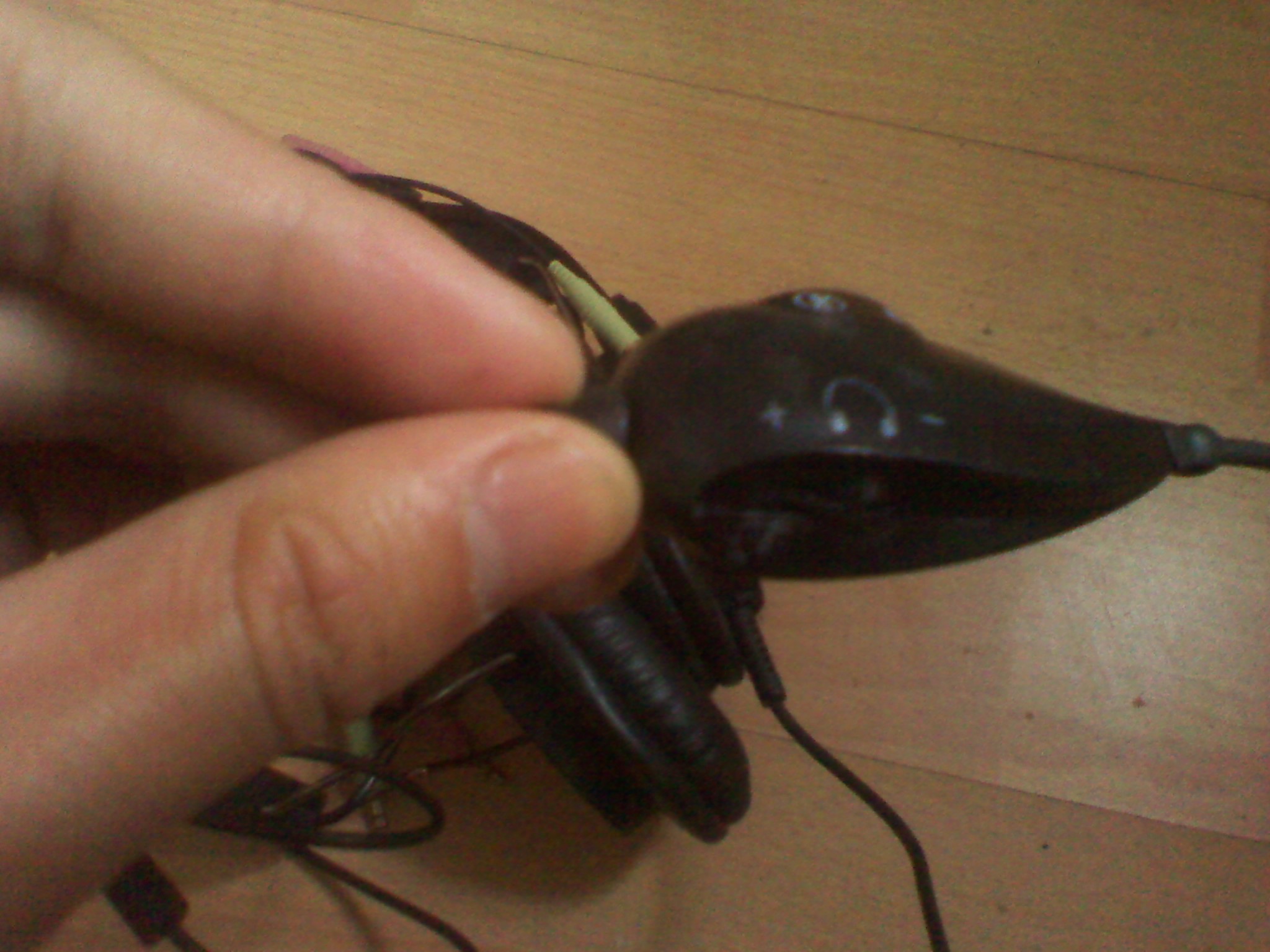 IMG_20110518_183810.jpg