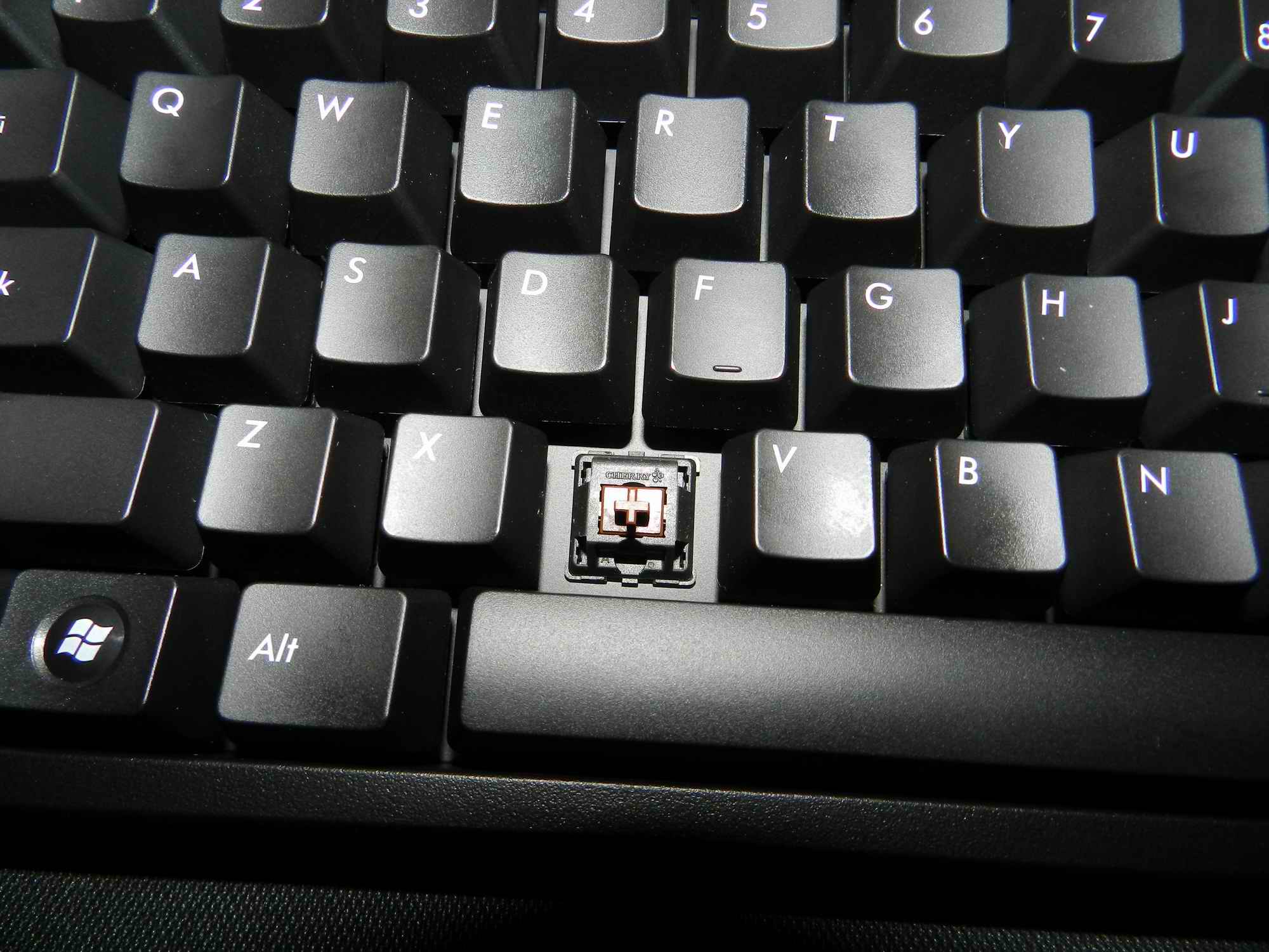 5.JPG