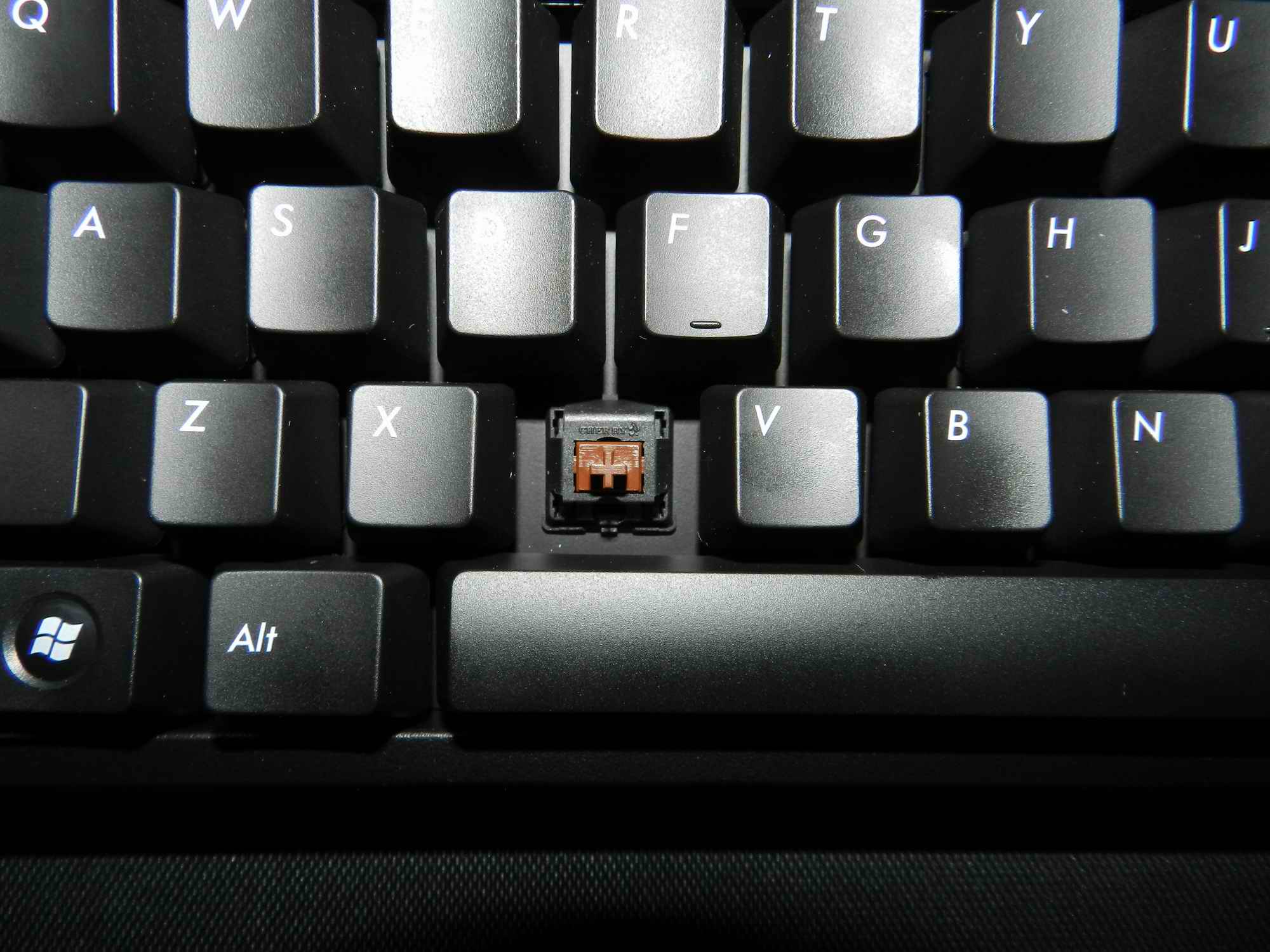 6.JPG