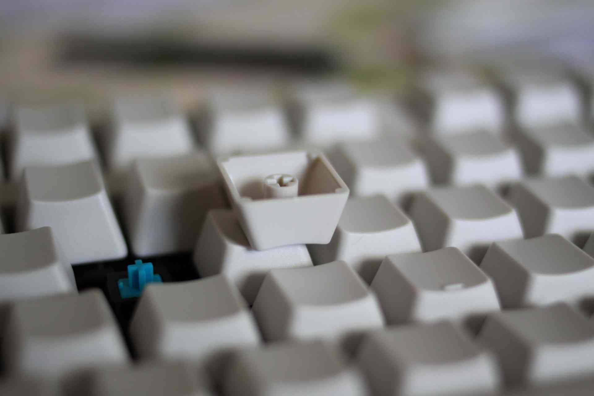 nEO_IMG_IMG_7877.jpg