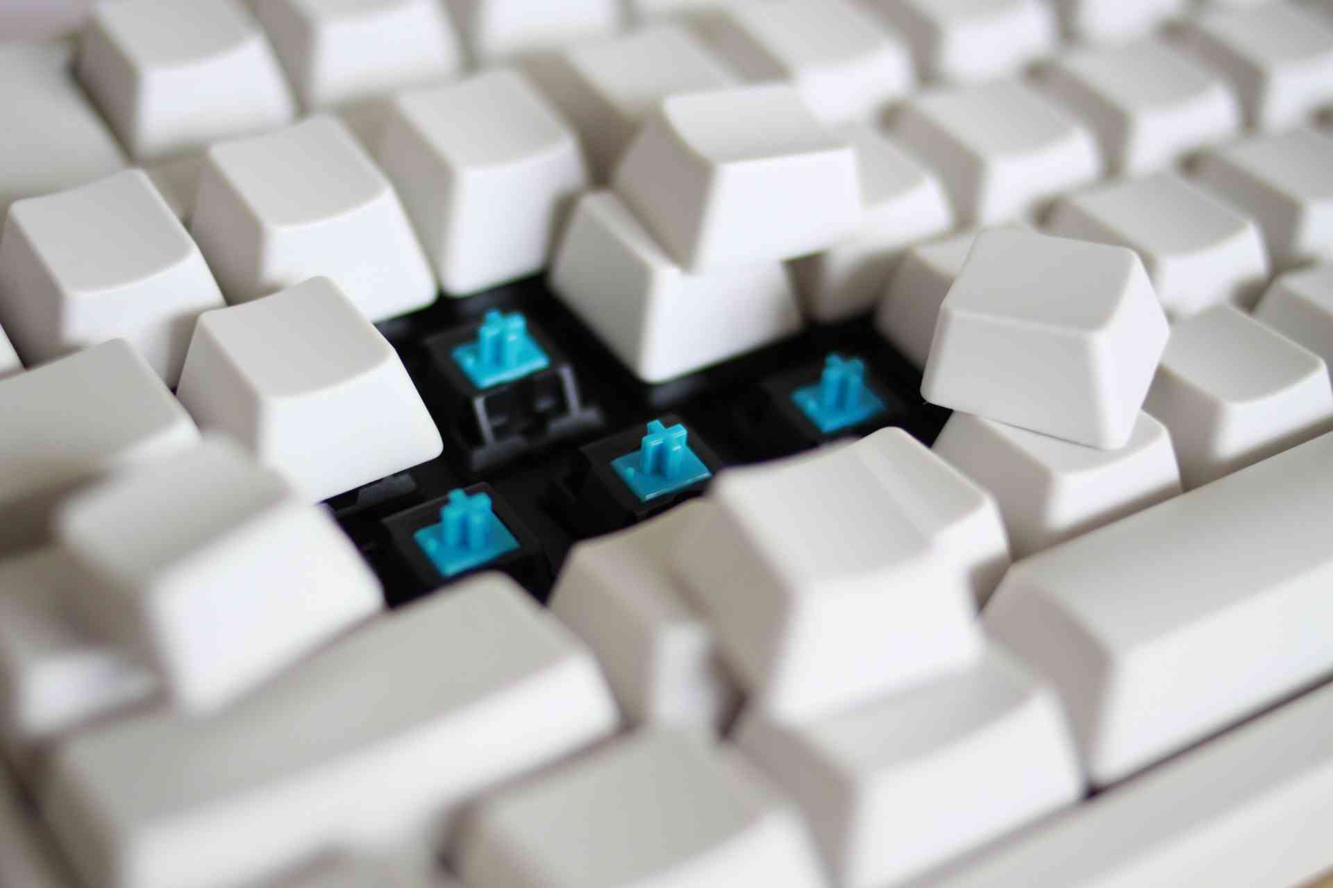 nEO_IMG_IMG_7873.jpg