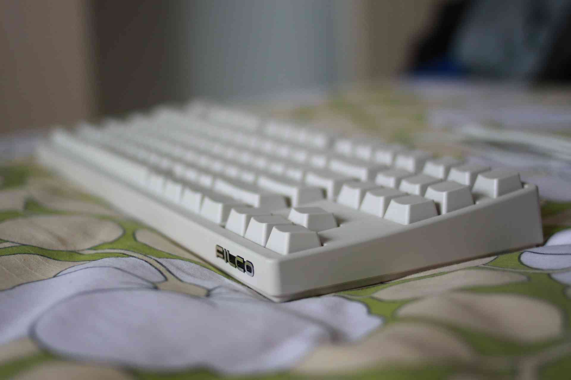 nEO_IMG_IMG_7863.jpg