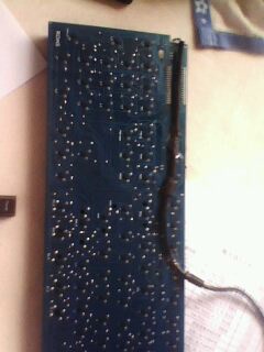 IMG1085A.jpg