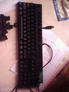 IMG1082A.jpg