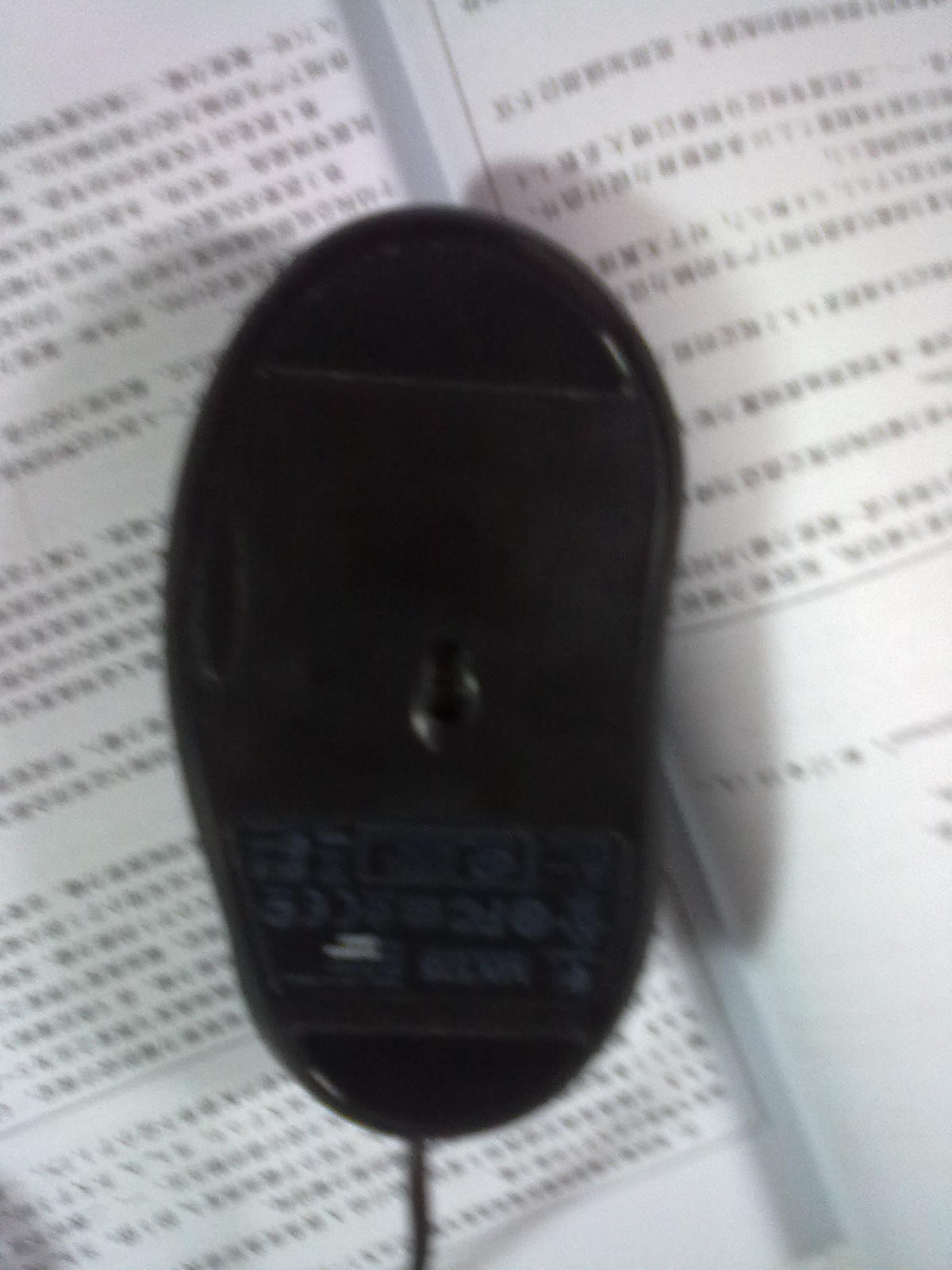 20110522288.jpg