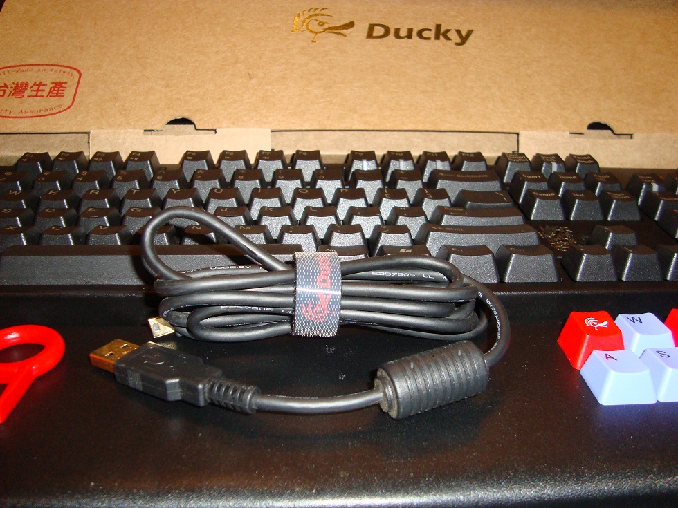 ducky2.JPG