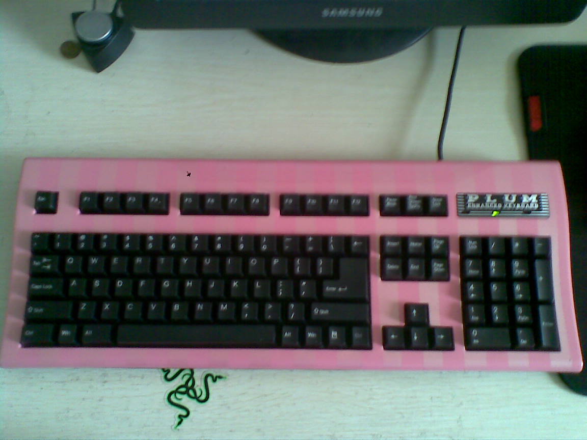 20110528.jpg