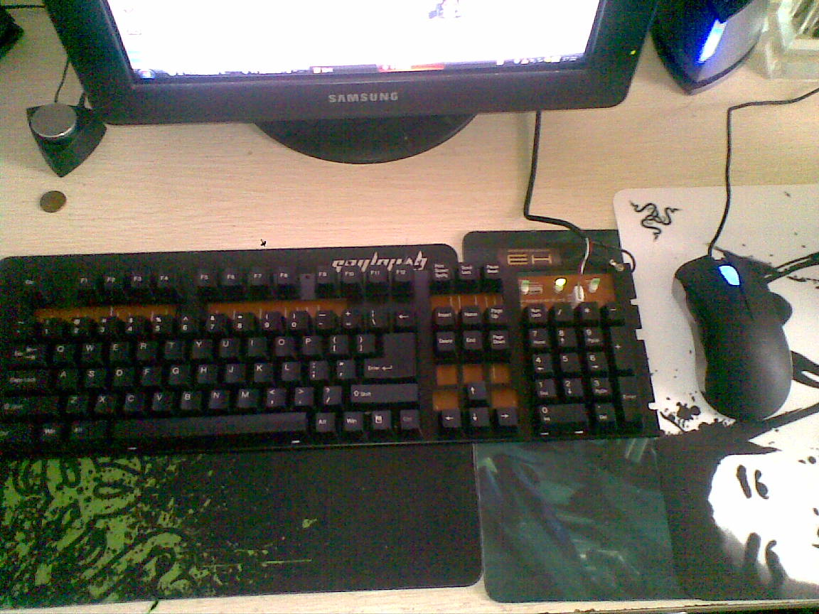 20110527.jpg