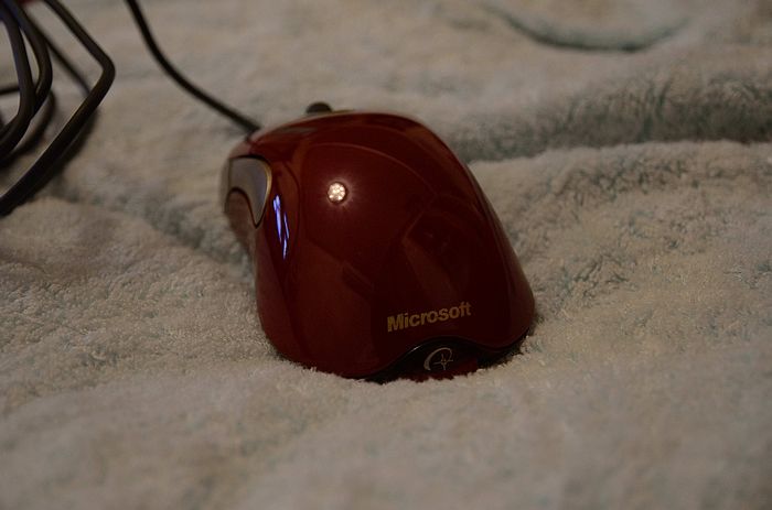 DSC_0876.jpg