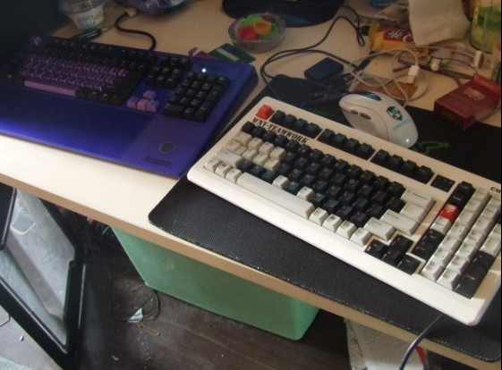 45445.jpg