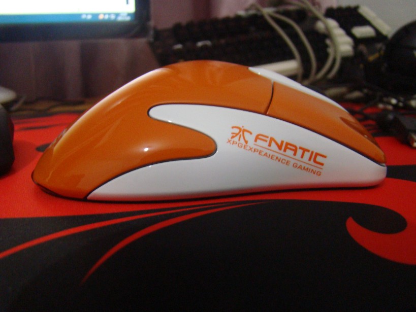����һֻIE3.0FK��fnaticMOD���160��ȫ����