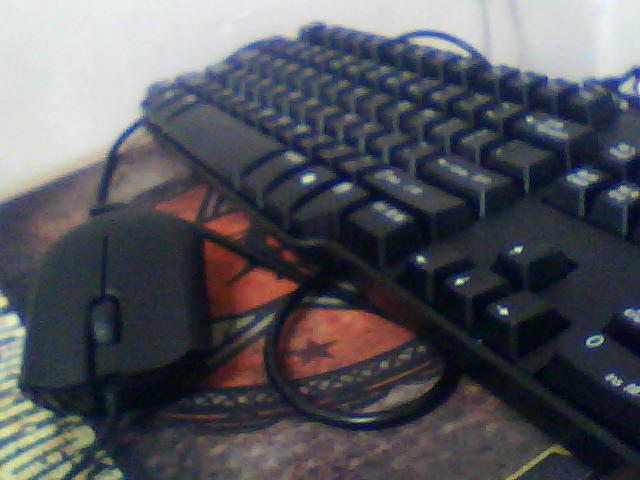 [ѳ]85Razer+95Dell 8115