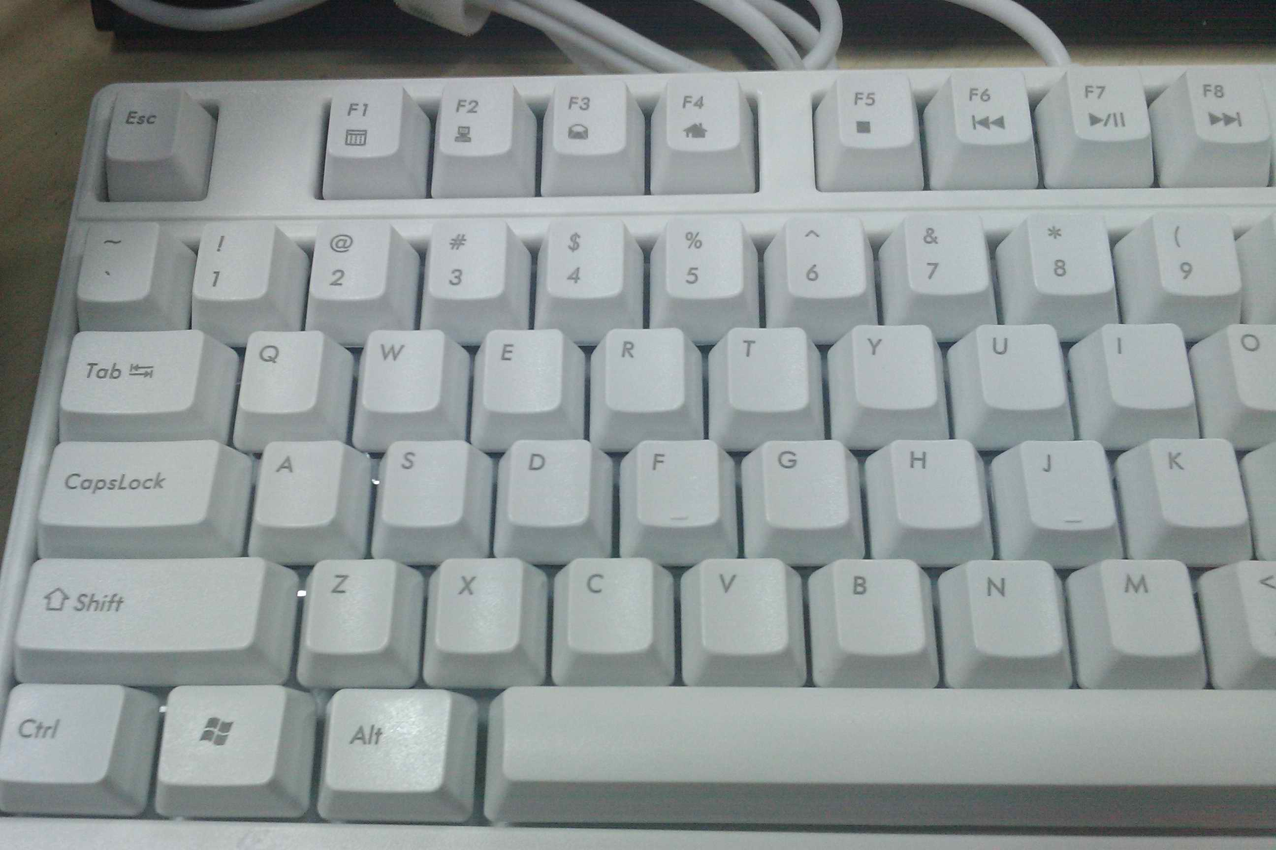 IMAG0057.jpg