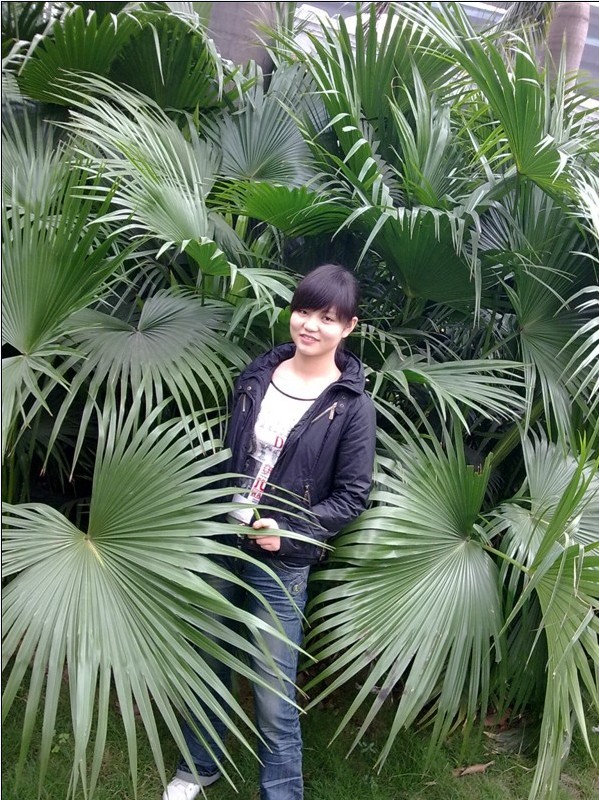 ˮĻ-----İ