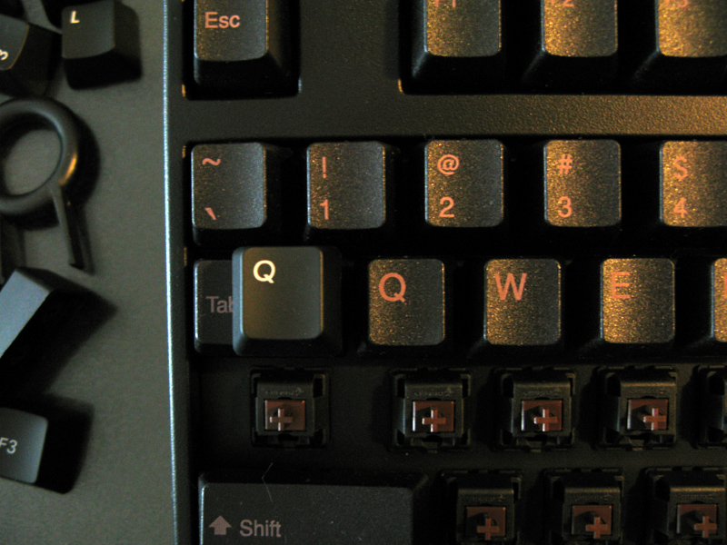 F��104ʥ��2���������֣���Ѫӣ�Һ�PBT