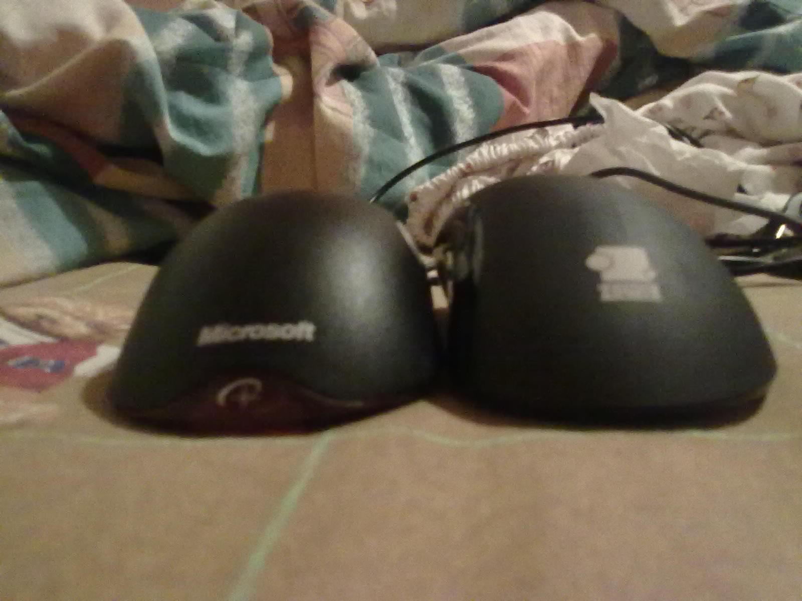 20110525012.jpg
