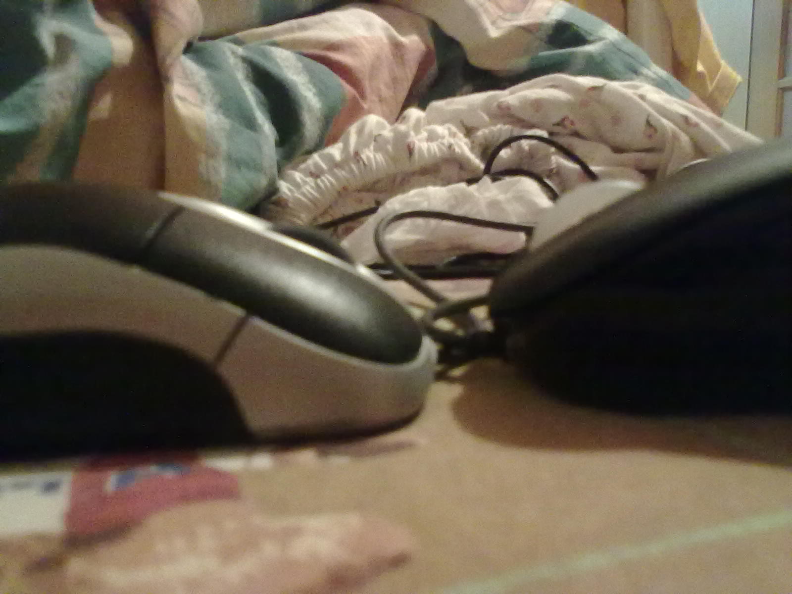 20110525015.jpg