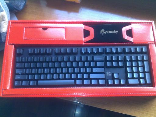 DUCKY�������.JPG