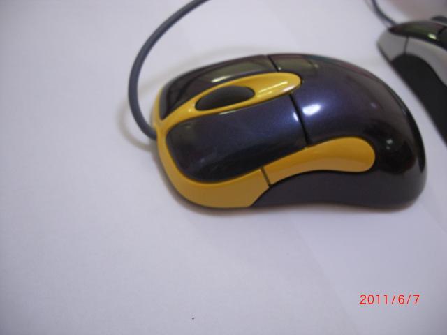 CIMG6274.JPG