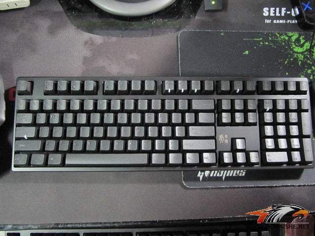 ��Ͷ��Ʊ��~ DUCKY ţ �� ���ĸ���YY��