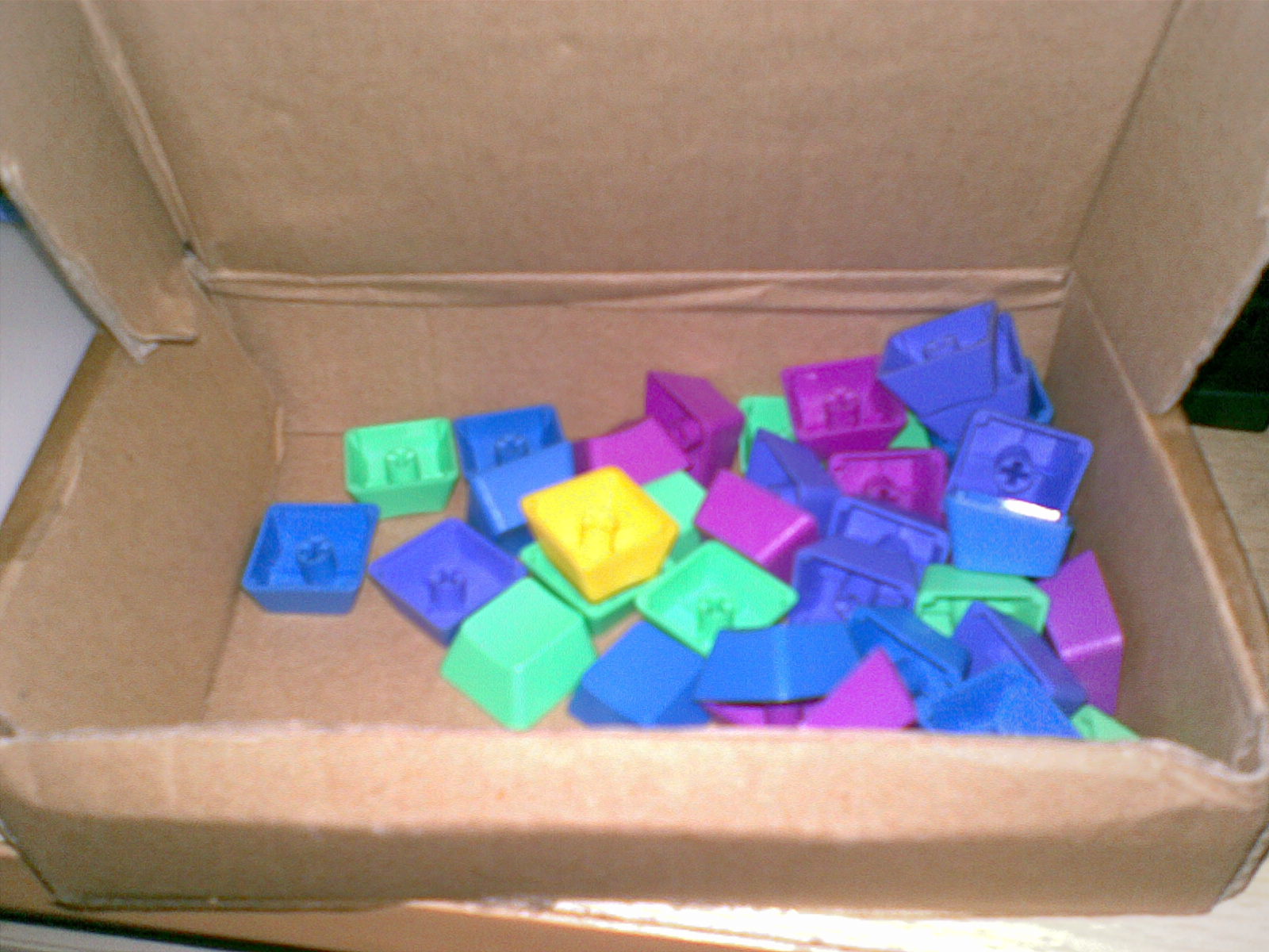 20110529.jpg