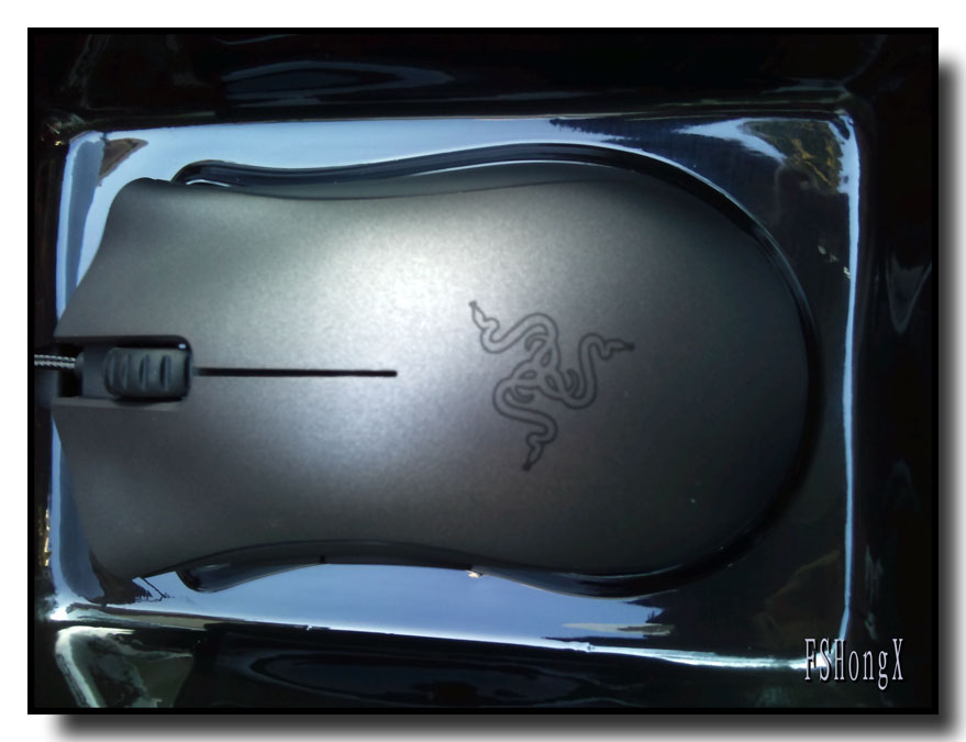 ����һ��û���������쵽�ֵĴ�������&RoccatЫ���߼У�����һ�¸���~