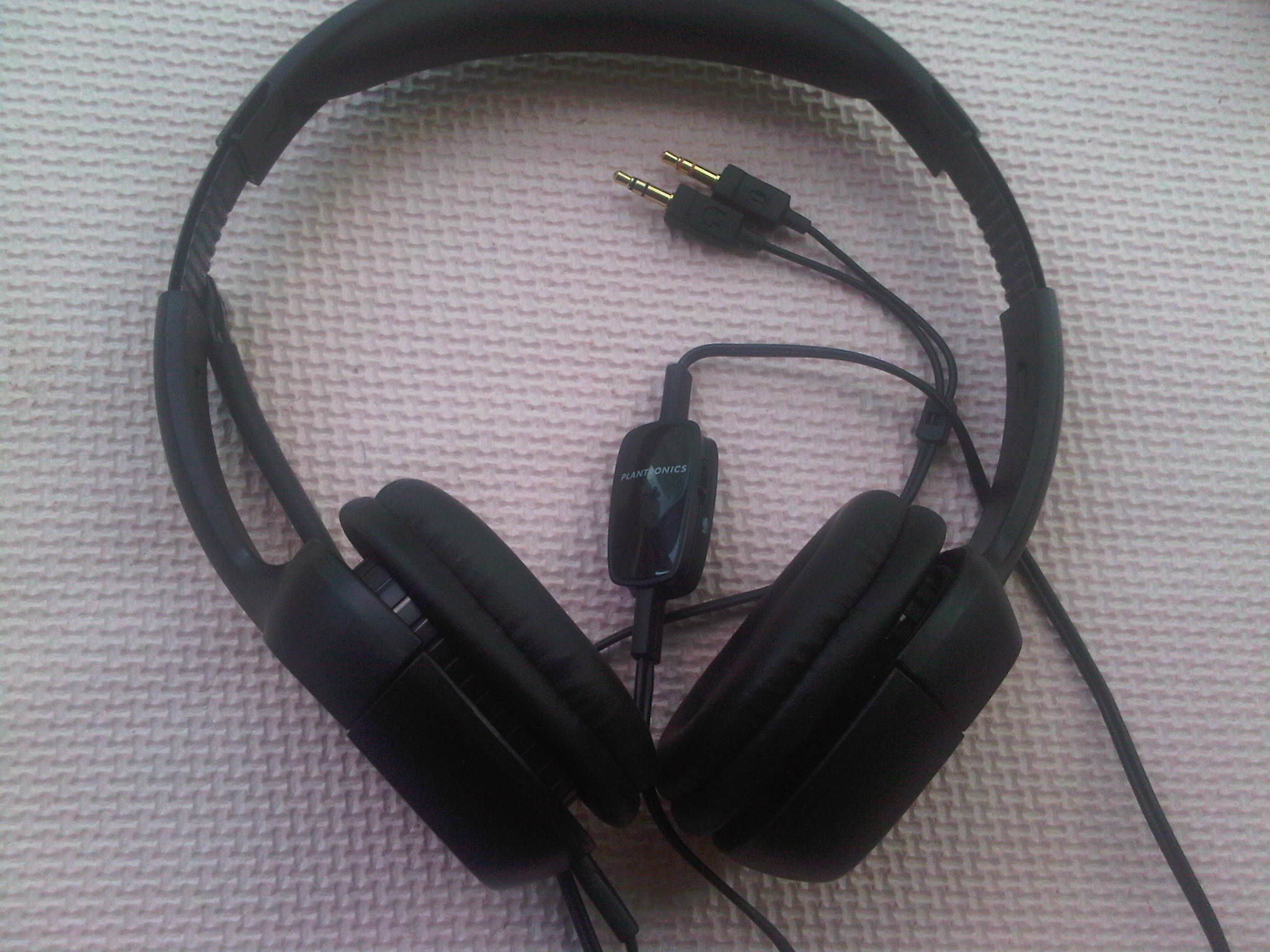 IMG00053-20110611-1703.jpg