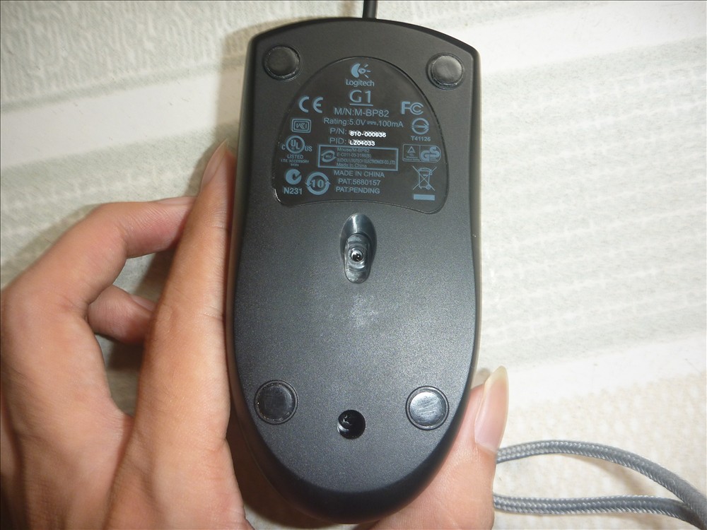 P1020057.JPG