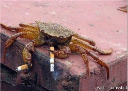 ������������ˮ�����ˮ