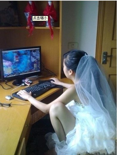 ������WOWERS���˲��� ��