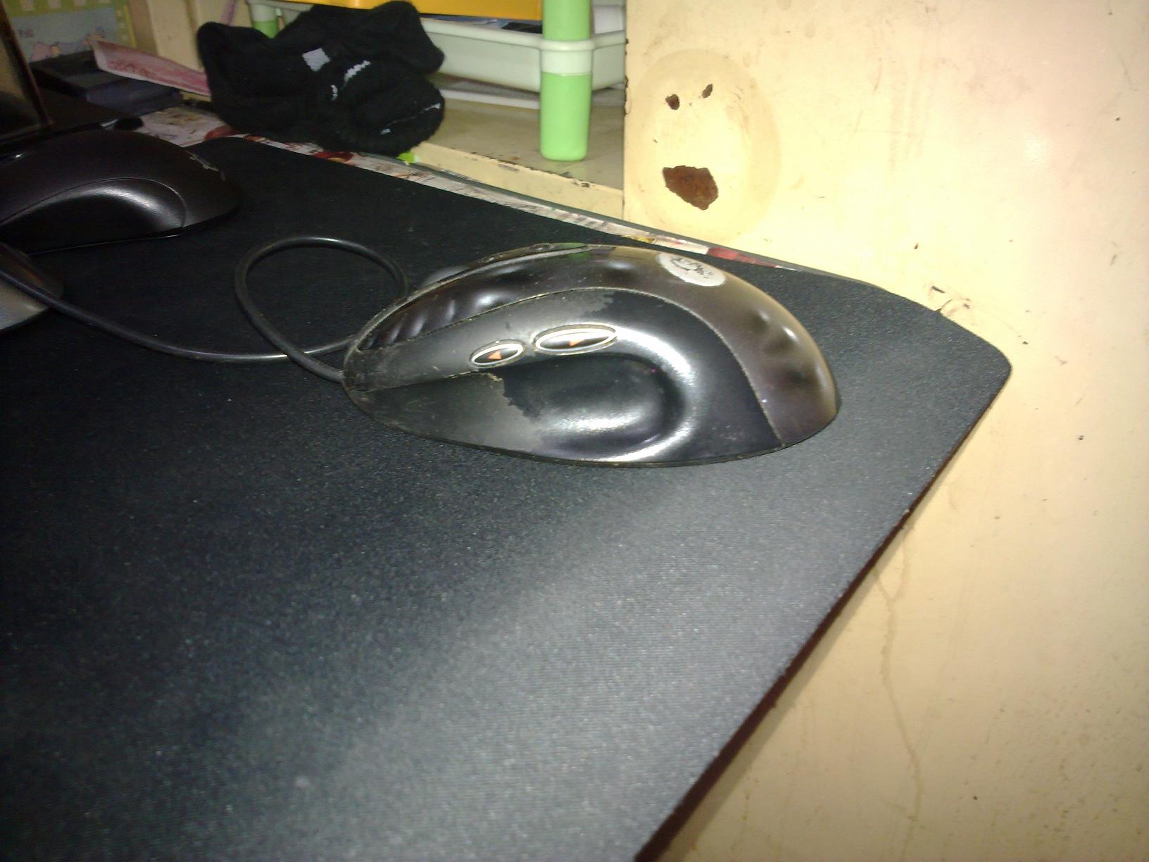 20110615062.jpg