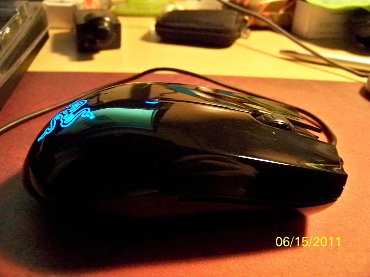 100_3038.JPG