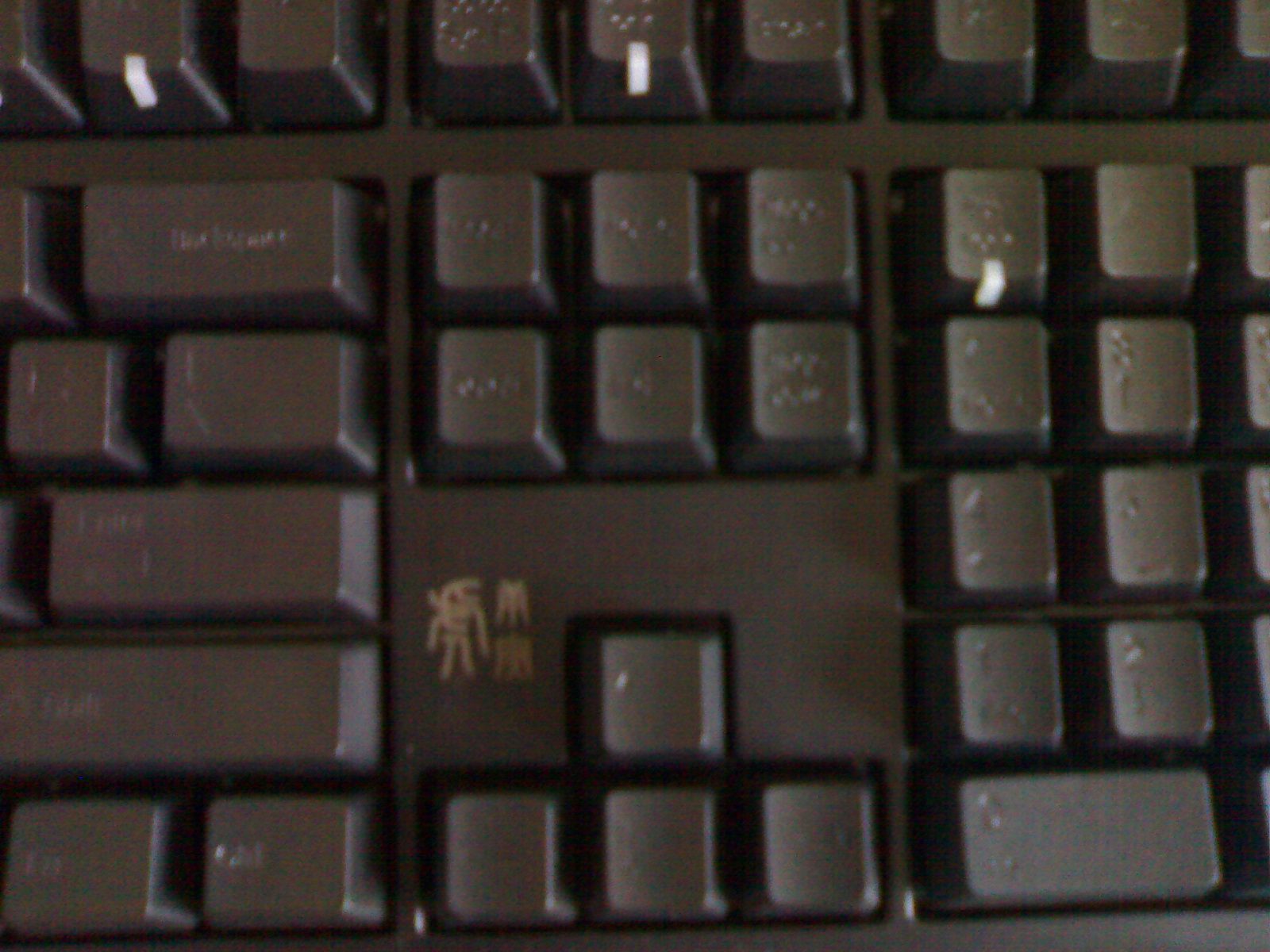 20110616088.jpg