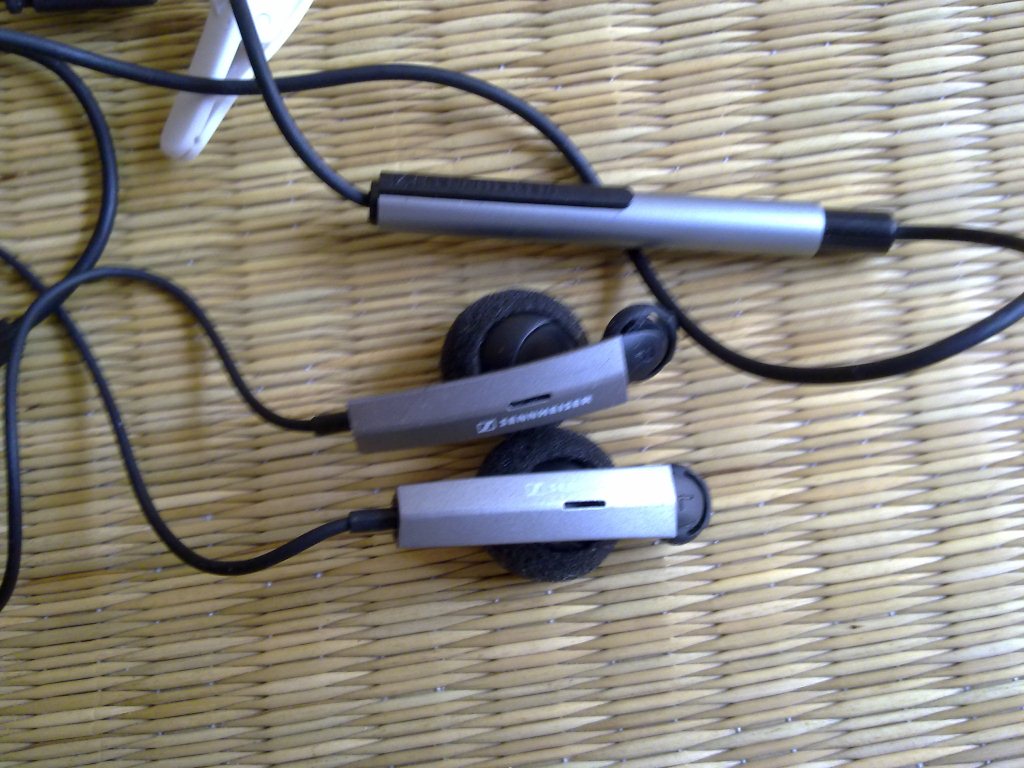 ����������ɭ������mx95