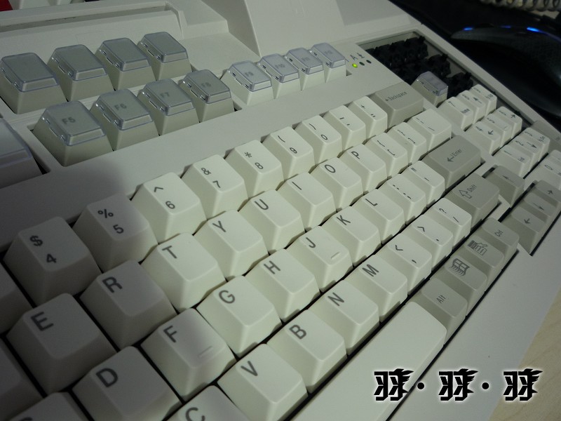 �ټ���֣�Cherry MX7000 G80-7903