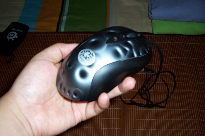100_2640.JPG