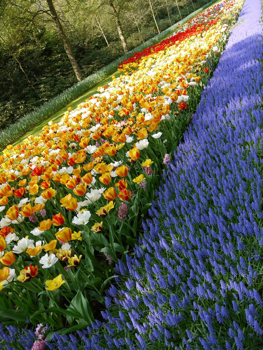 ����&�¹�ʮһ��������֮�ã��ǳ���ͼ�����룩����һ�θ���6.24��