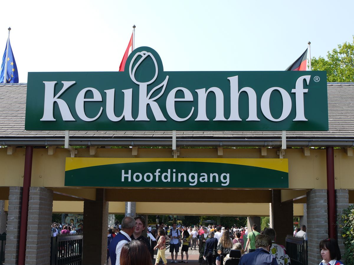 ����&�¹�ʮһ��������֮�ã��ǳ���ͼ�����룩����һ�θ���6.24��