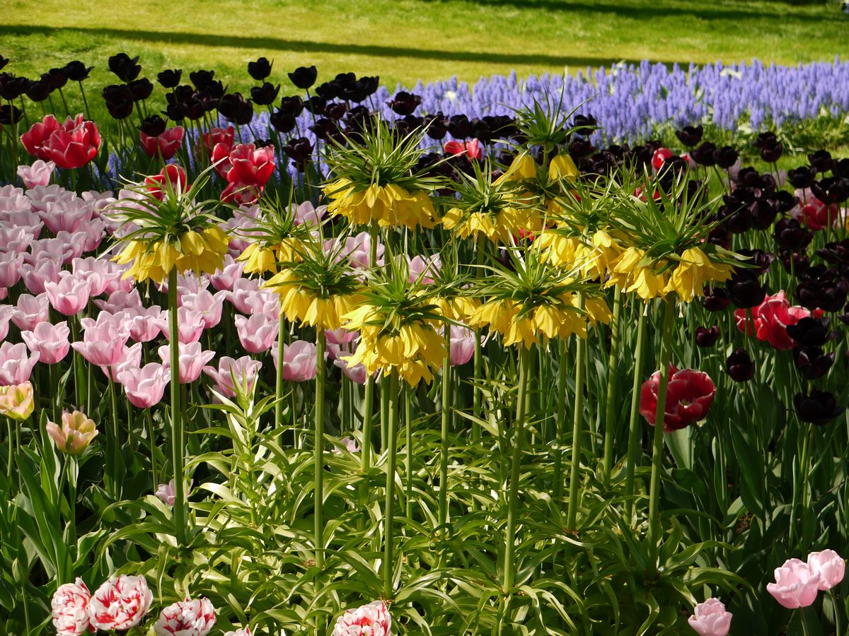 ����&�¹�ʮһ��������֮�ã��ǳ���ͼ�����룩����һ�θ���6.24��