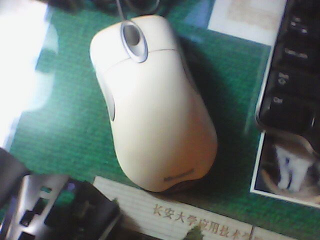 IMG0019A.jpg