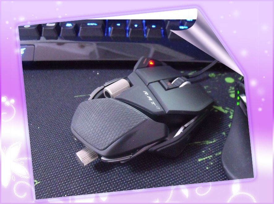 RAT7 �� һЩ����