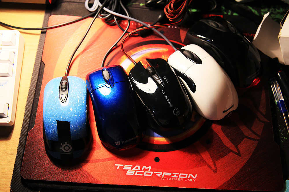 [�������]��Ϊ���̬��,�����ҵ�֧��[ħЫ��׳�������������]...�༭���