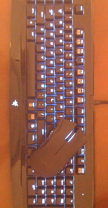 9.5ߴѸͻwnv 1865 wnv ie3.0io1.1    轻