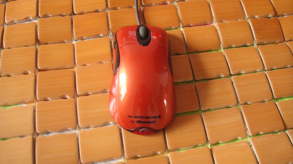 DSC02112.JPG